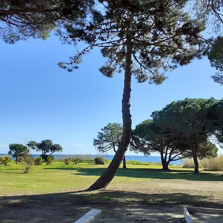 Bel Avec Piscine- Poggio Mezzana