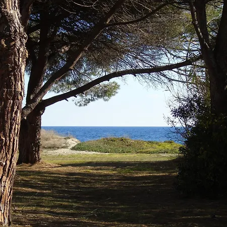 Bel Avec Piscine- Appartamento Poggio Mezzana